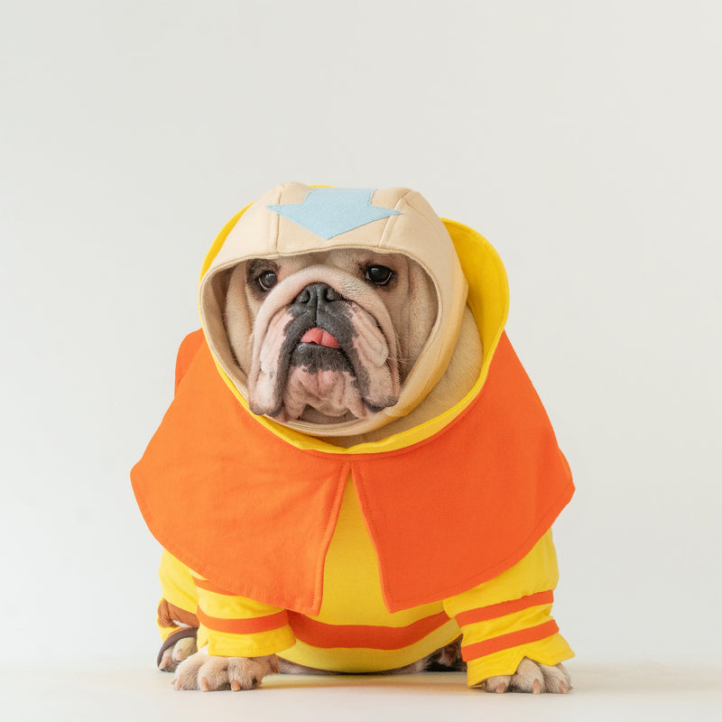 WONTON AirBarker costume