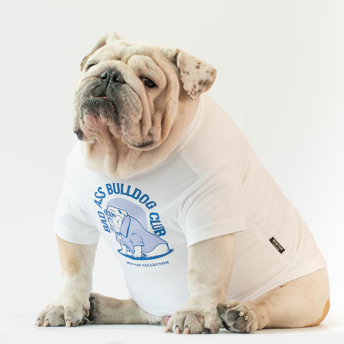 WONTON BAD ASS BULLDOG CLUB t-shirt in white and blue – Wonton