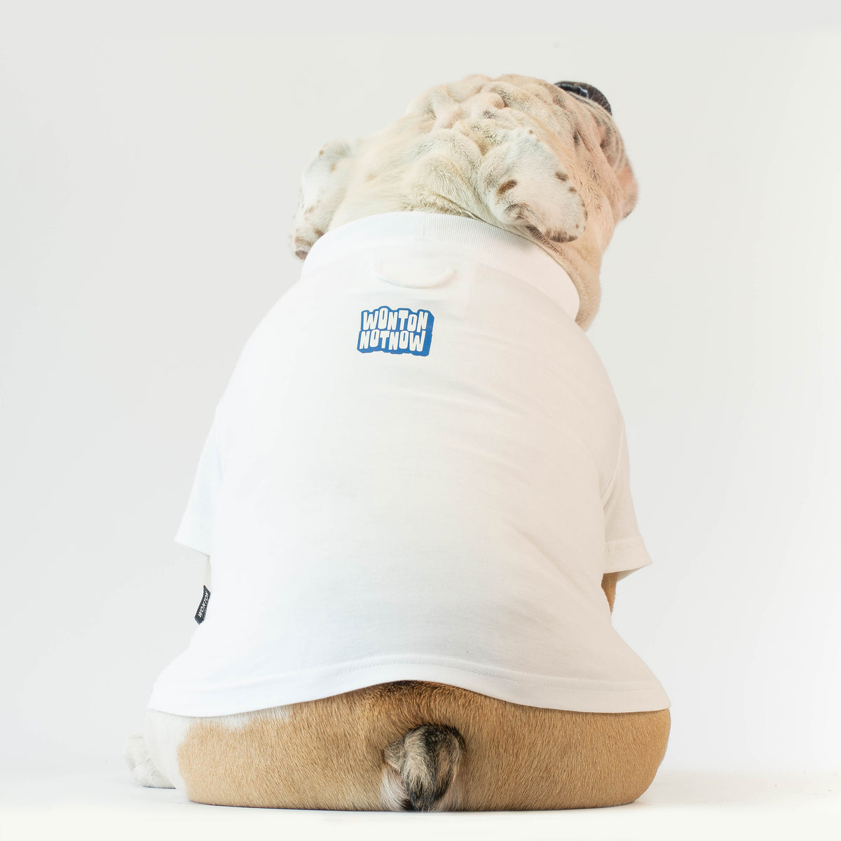 WONTON BAD ASS BULLDOG CLUB t-shirt in white and blue