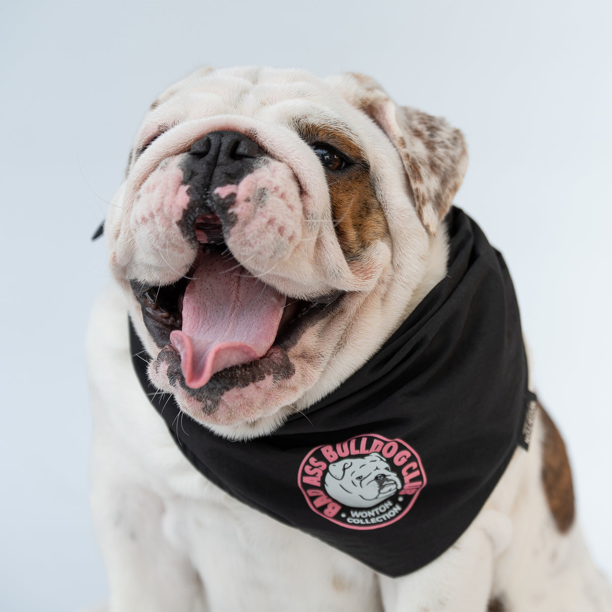 WONTON BAD ASS BULLDOG CLUB Double-sided Bandana