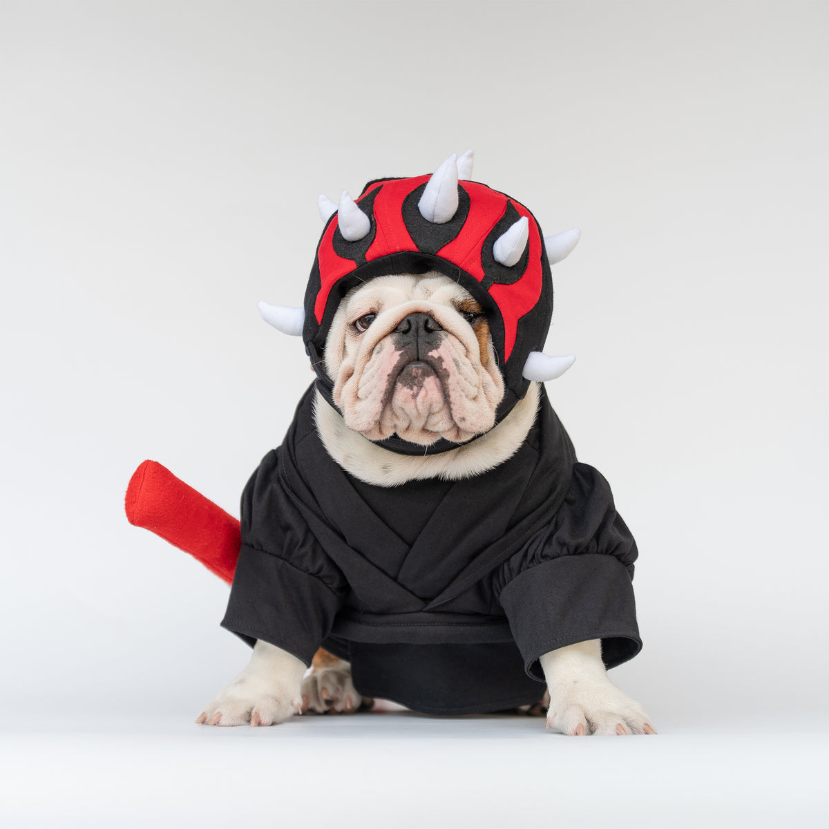 WONTON Bark Maul costume