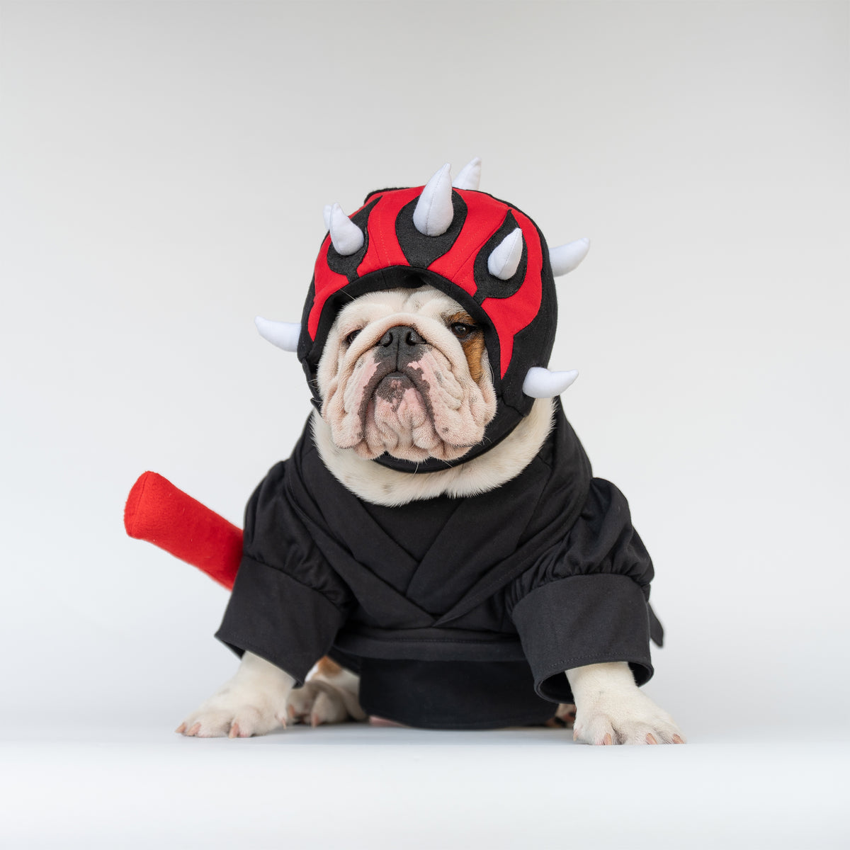 WONTON Bark Maul costume