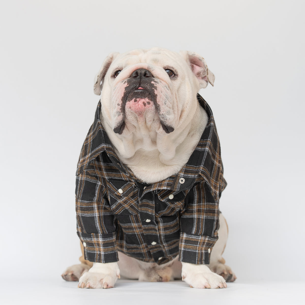 WONTON Black Timber Plaid shirt