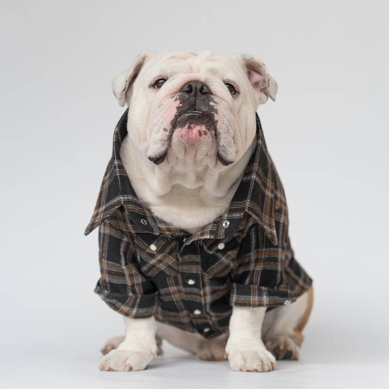 WONTON Black Timber Plaid shirt