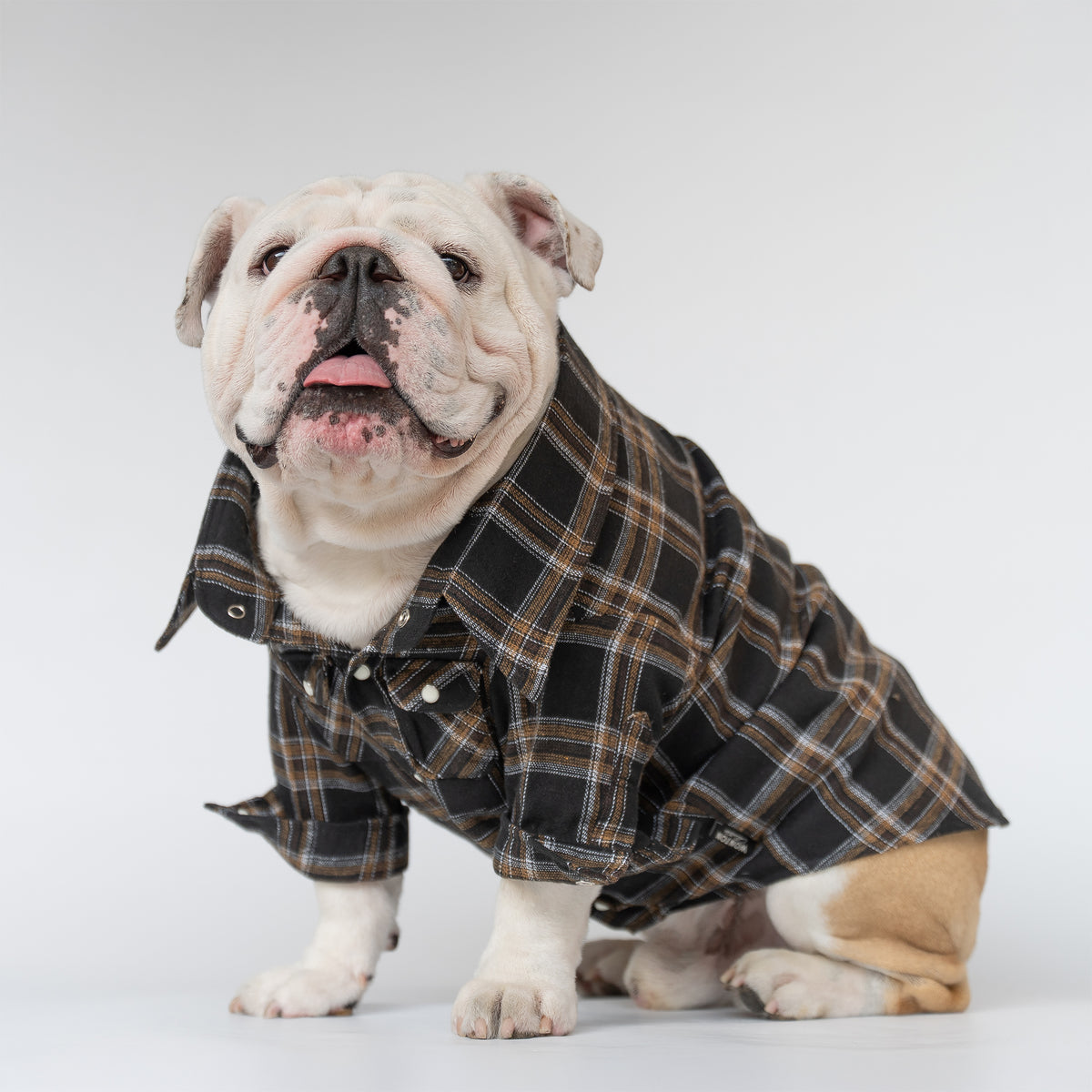 WONTON Black Timber Plaid shirt
