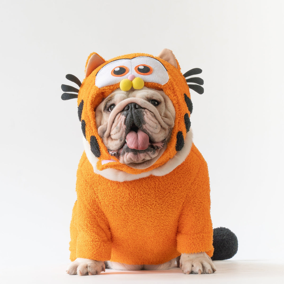 Bulldog fancy dress best sale