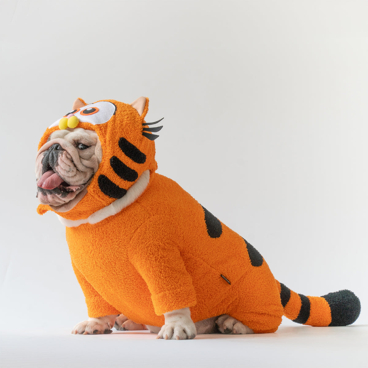 WONTON Bulldfield costume