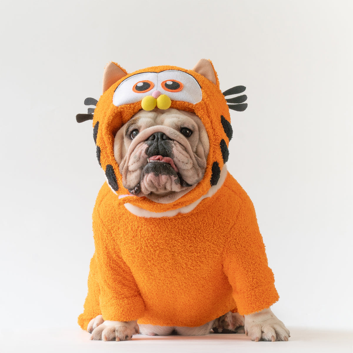 WONTON Bulldfield costume