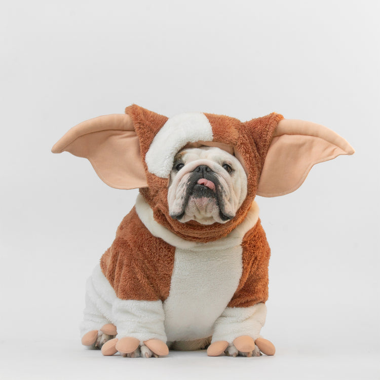WONTON Bulzmo costume