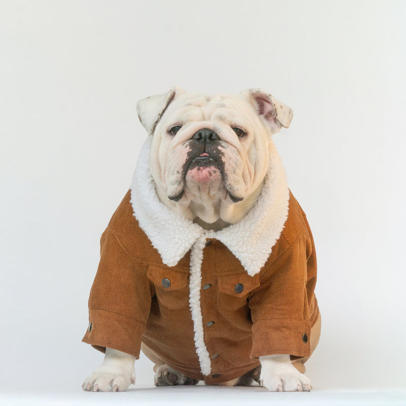 WONTON Classic Corduroy Jacket
