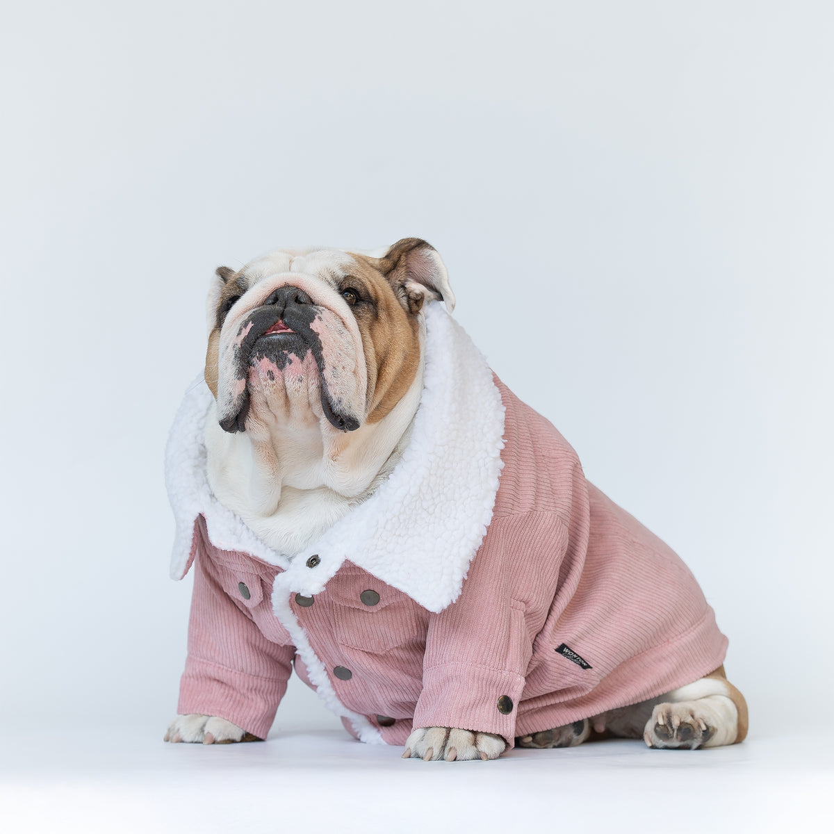 WONTON Classic Corduroy Jacket in valentine pink
