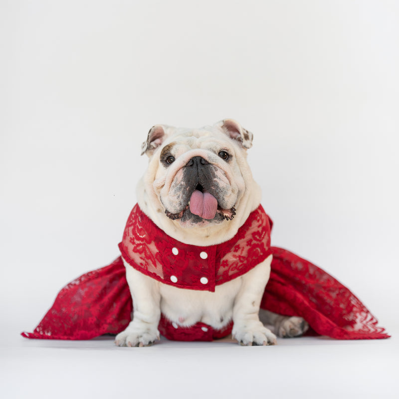 WONTON Cloud Bride Dress in burgundy (Ultra-Breathable)