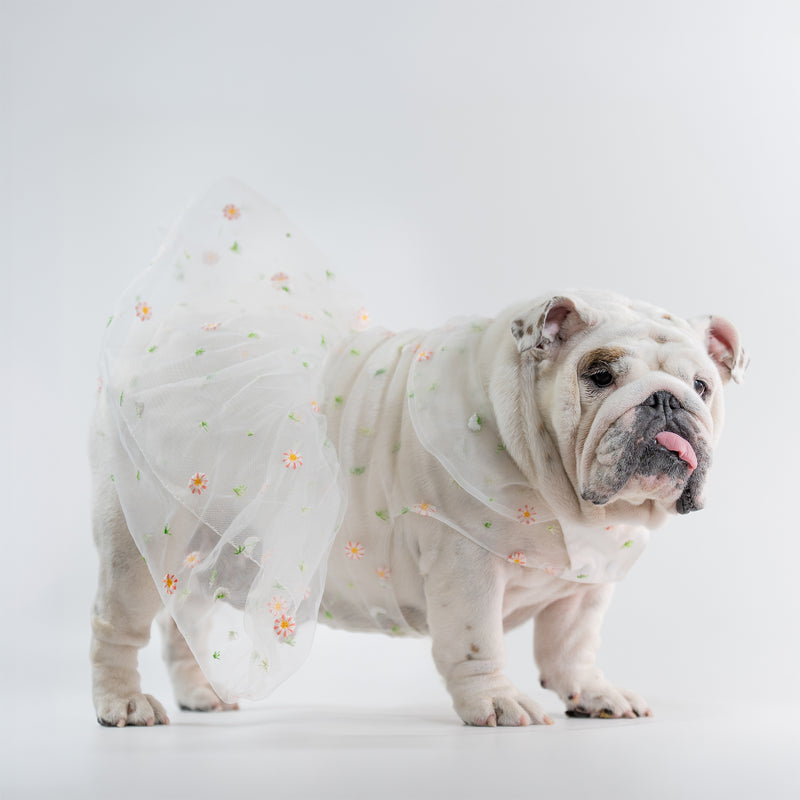 WONTON Cloud Floral Dress (Ultra-Breathable)