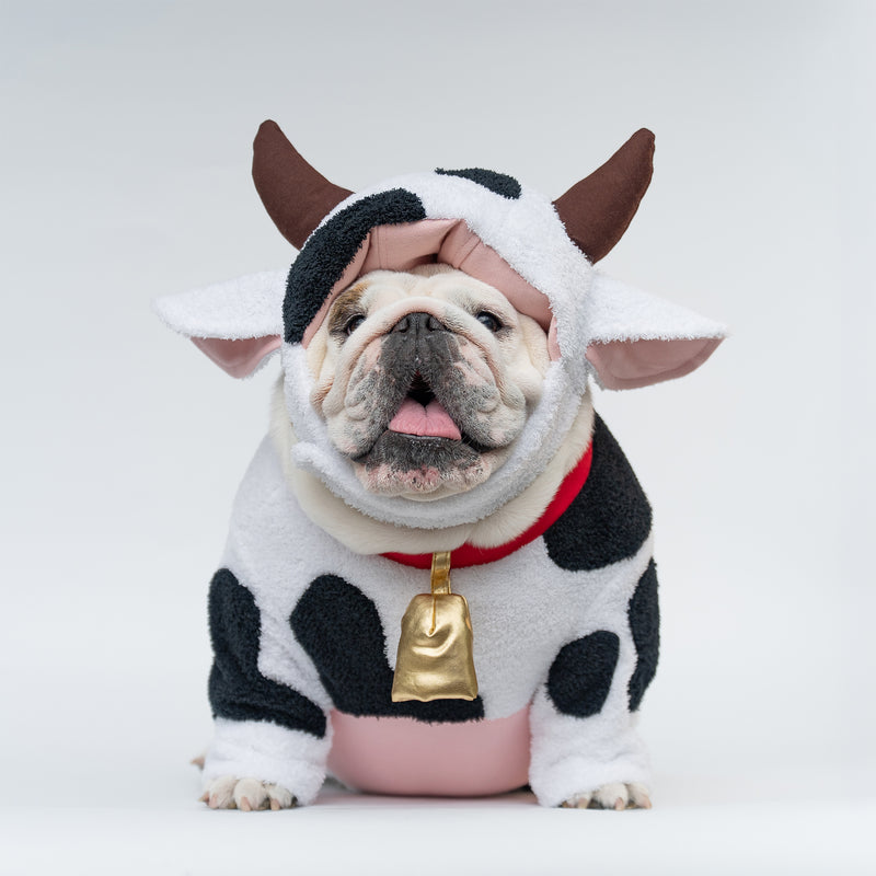 WONTON Moo Moo Cow Costume