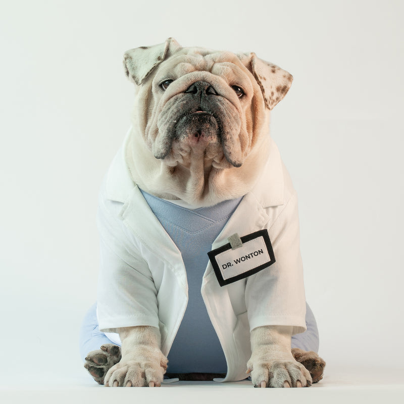 WONTON DOCTOR Uniform