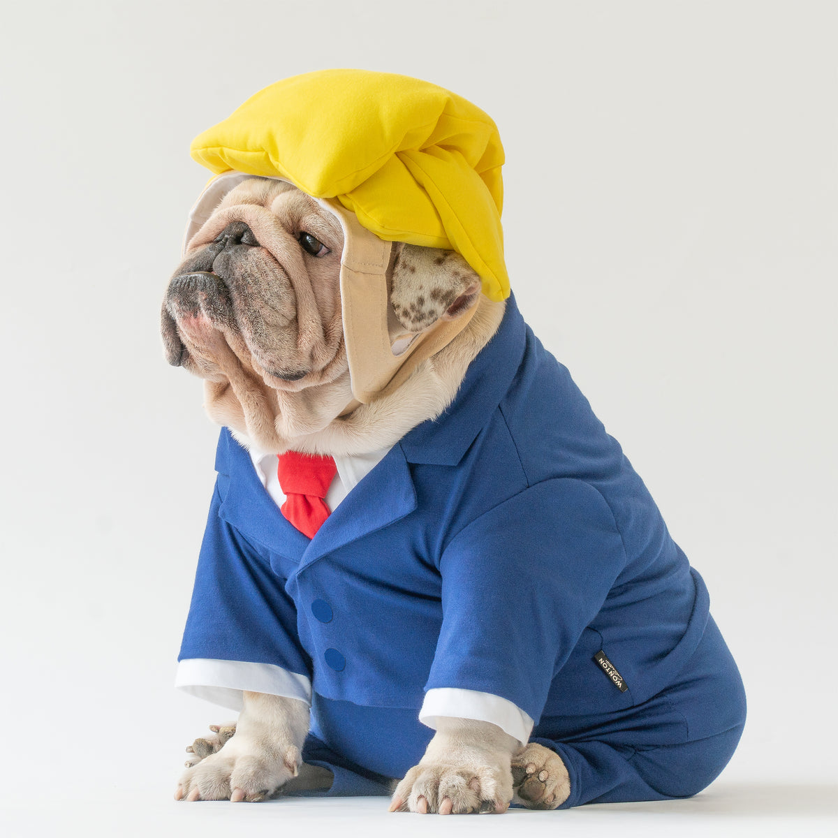WONTON Donald T. Pooch costume