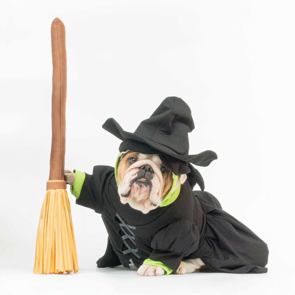WONTON Elphabull costume