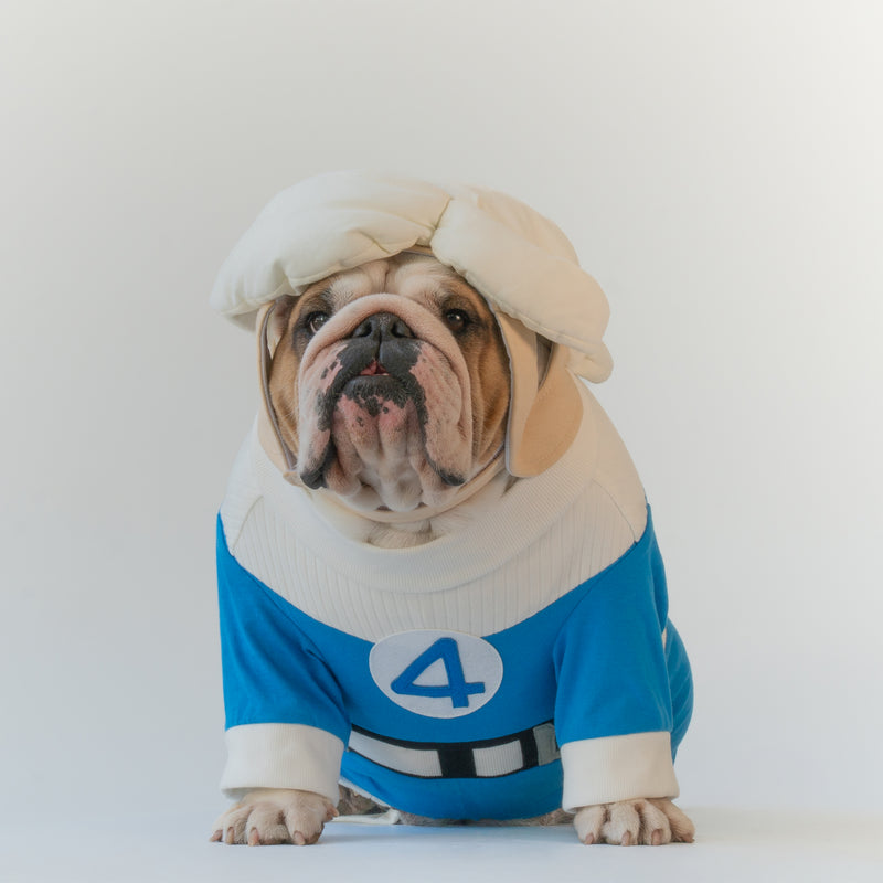 WONTON Fantastic Paws The Invisible Dog costume