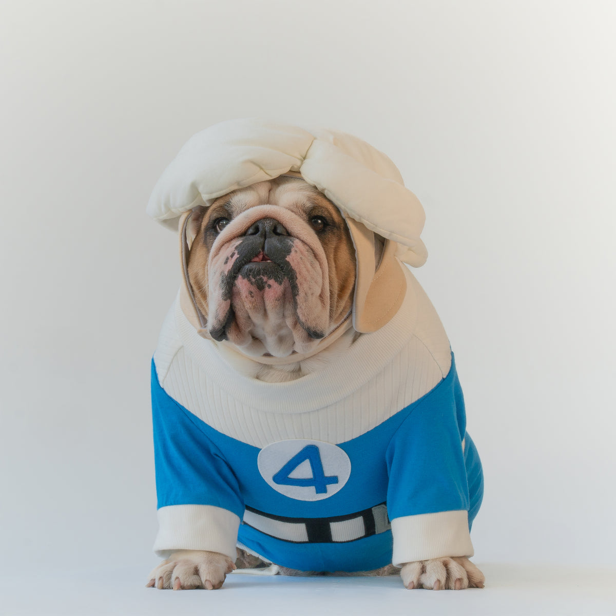 WONTON Fantastic Paws The Invisible Dog costume