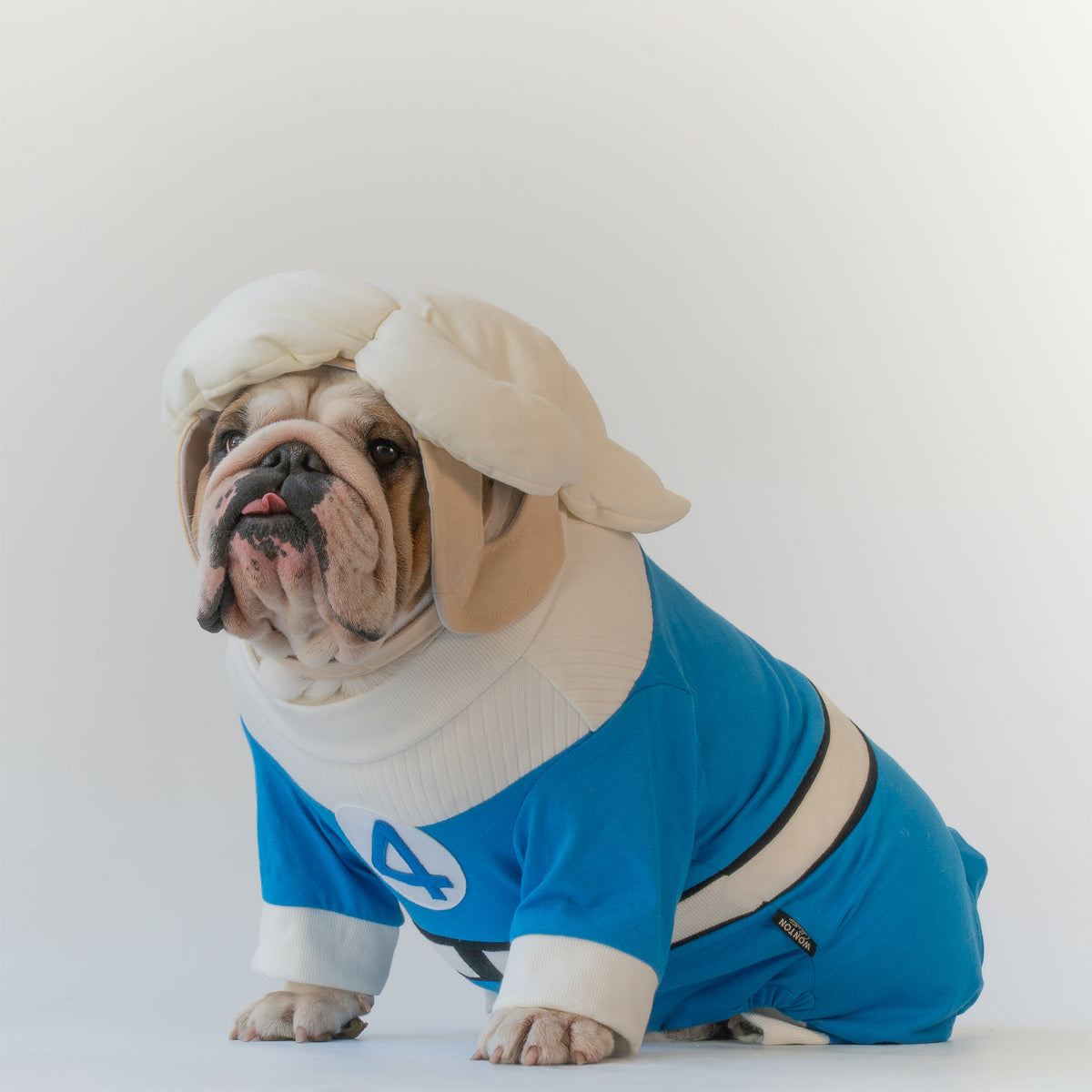 WONTON Fantastic Paws The Invisible Dog costume