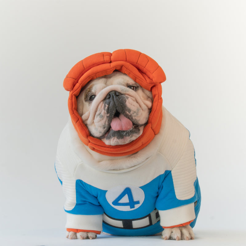 WONTON Fantastic Paws The Thing costume