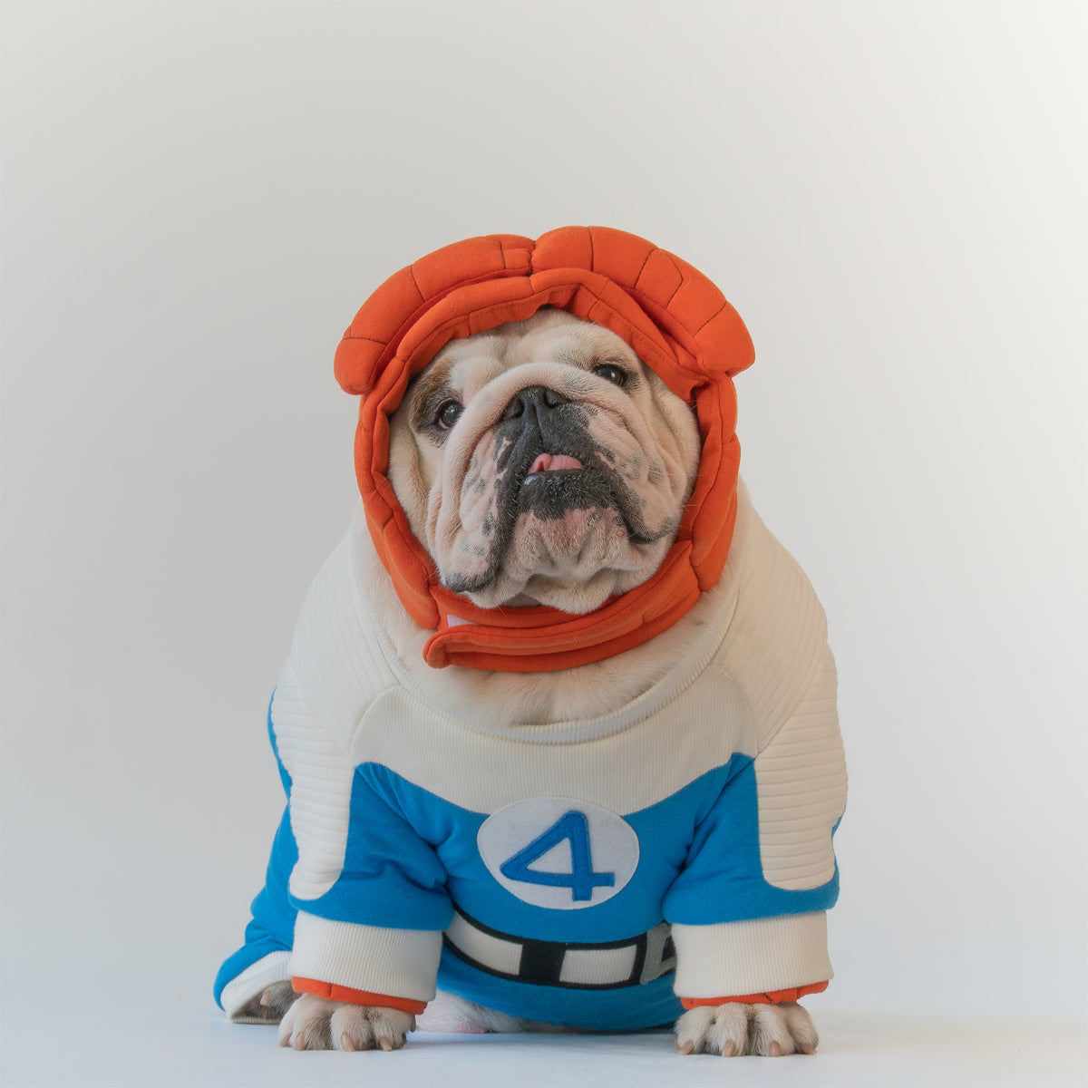 WONTON Fantastic Paws The Thing costume