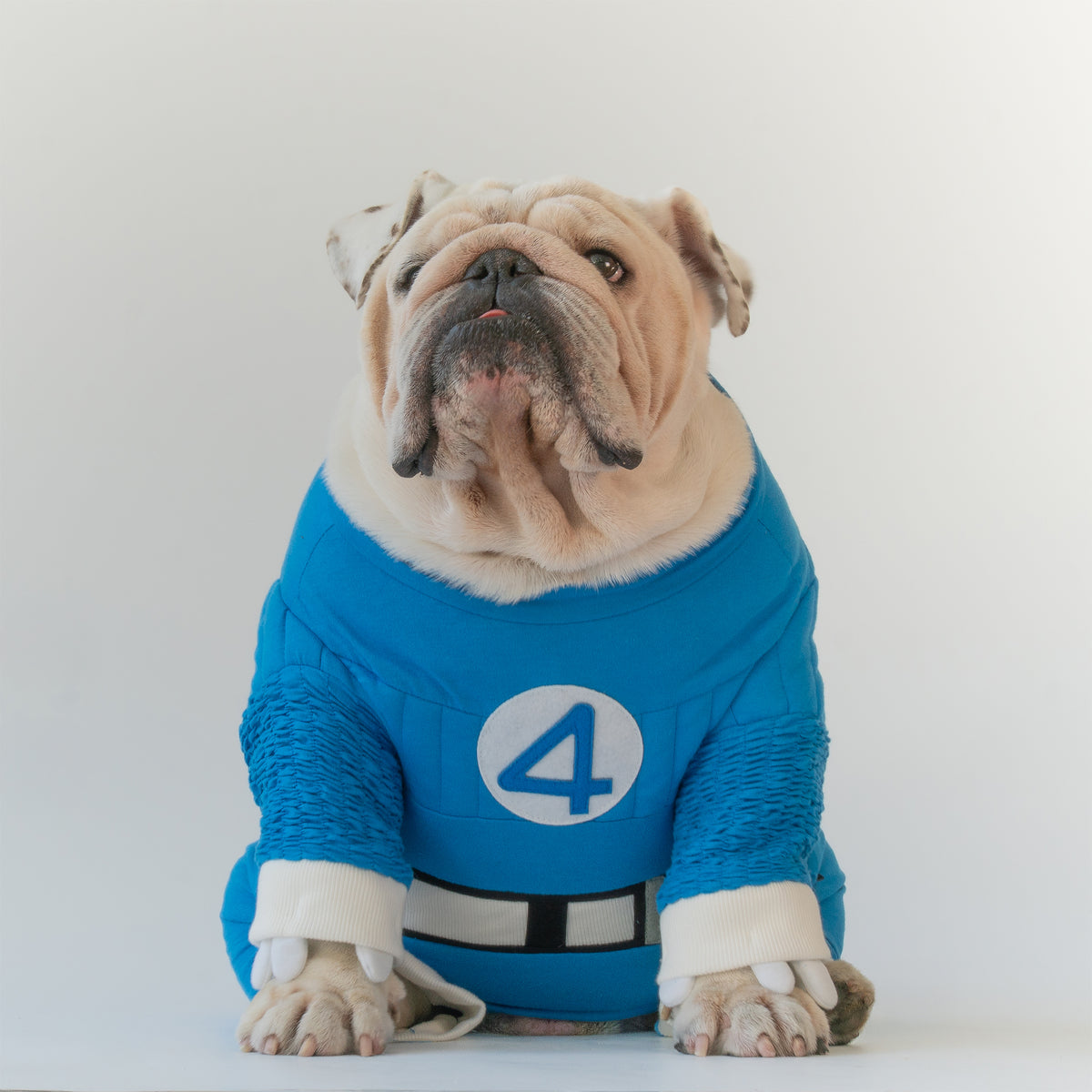 WONTON Fantastic Paws Mr. Fantastic costume