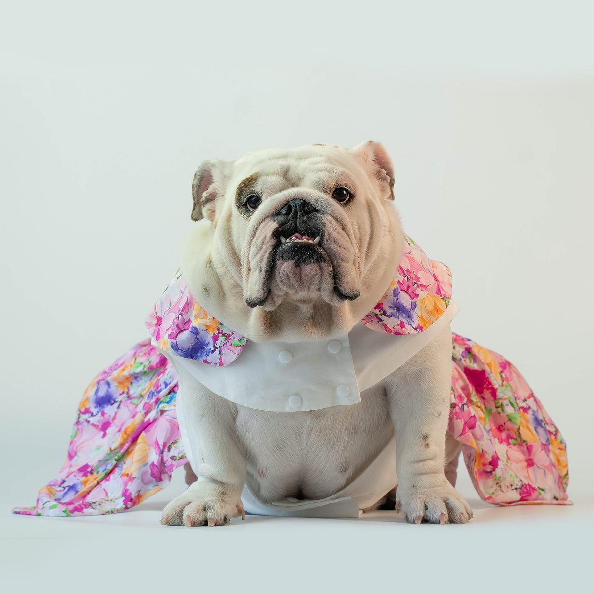 WONTON Floral Paradise dress