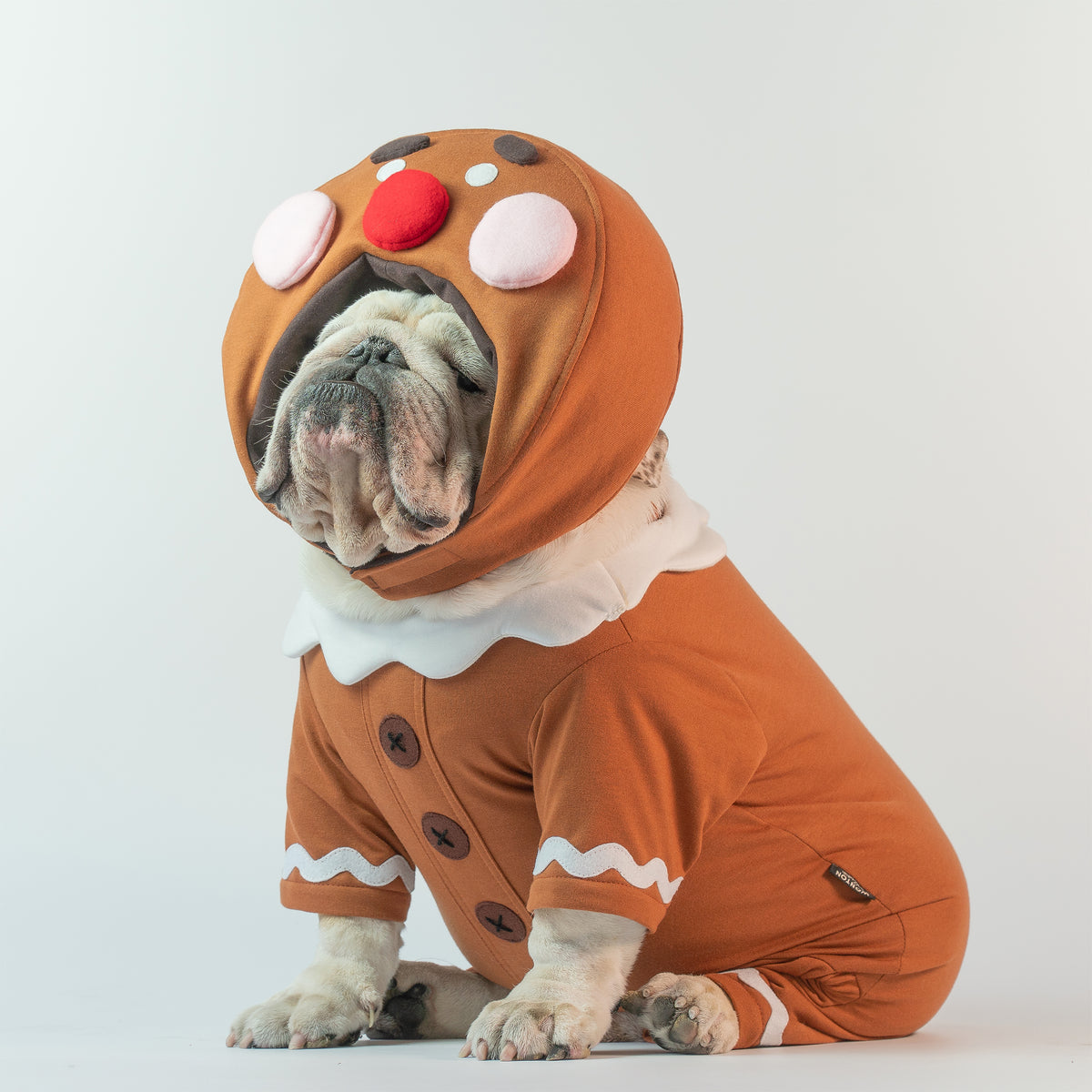 WONTON GingerBread costume, Christmas Special