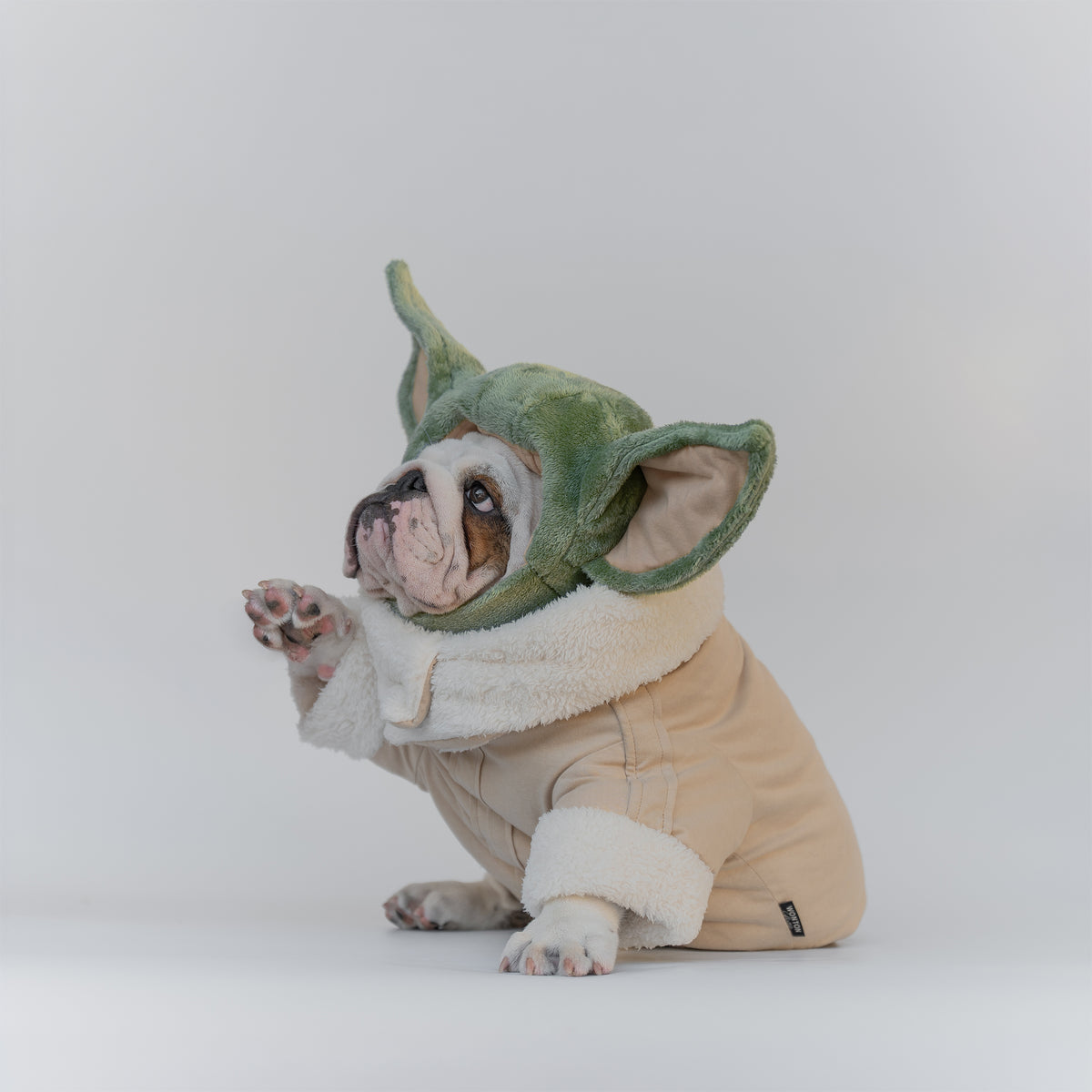 WONTON Grobull costume