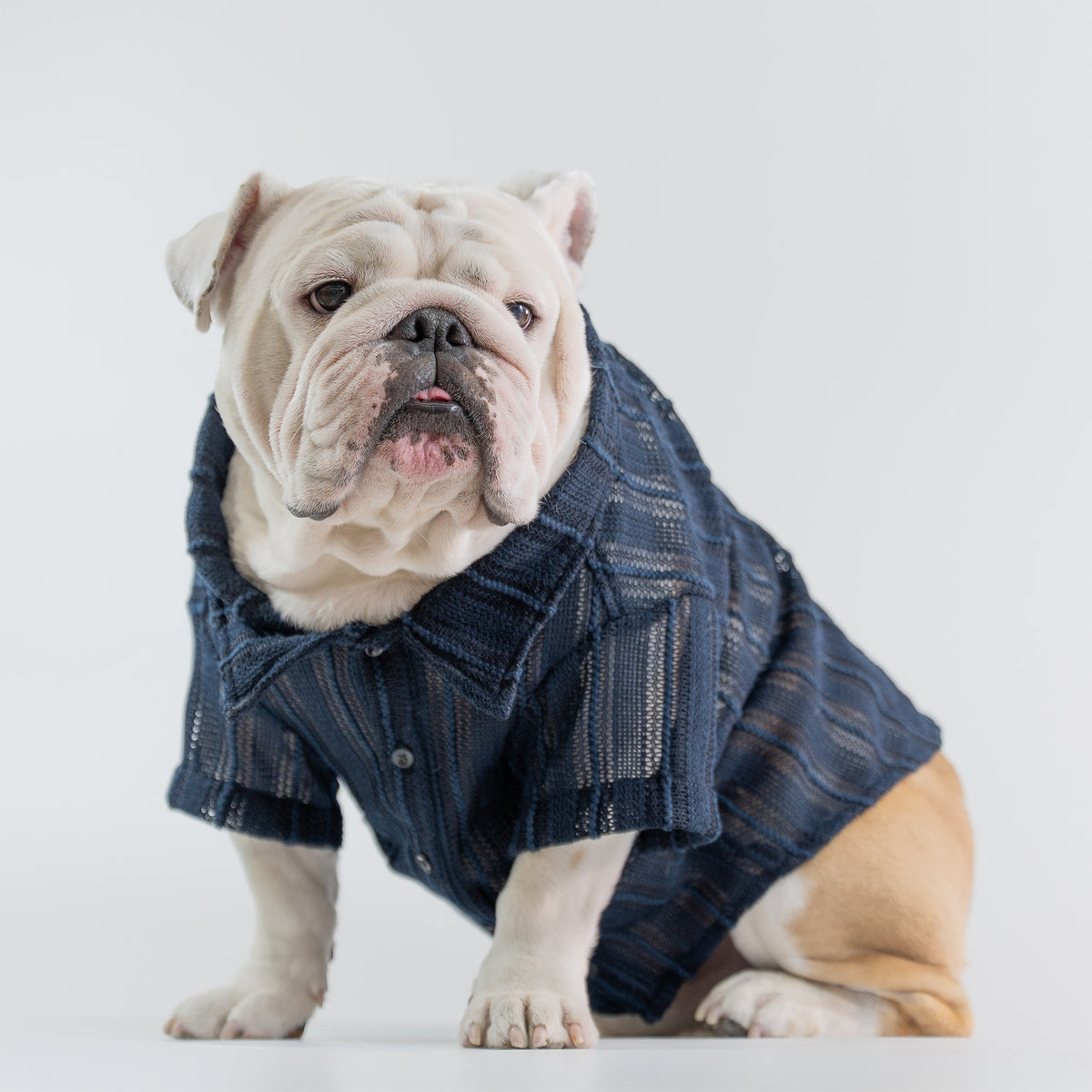 WONTON Midnight Breeze Shirt (Ultra-Breathable)