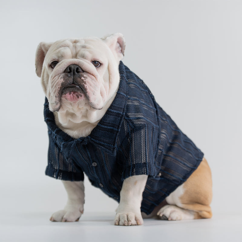 WONTON Midnight Breeze Shirt (Ultra-Breathable)