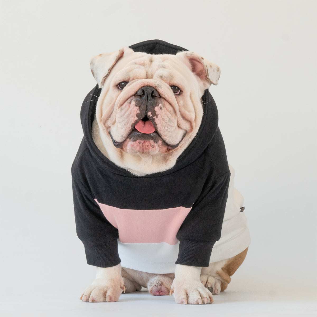 WONTON Midnight Melody hoodie