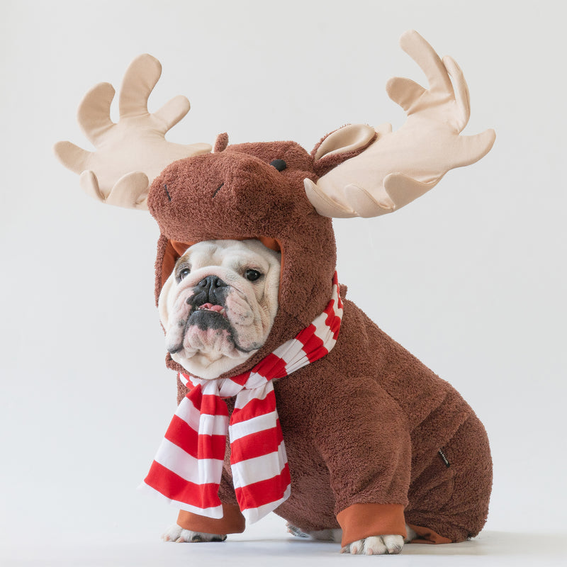WONTON The Winter Moose costume