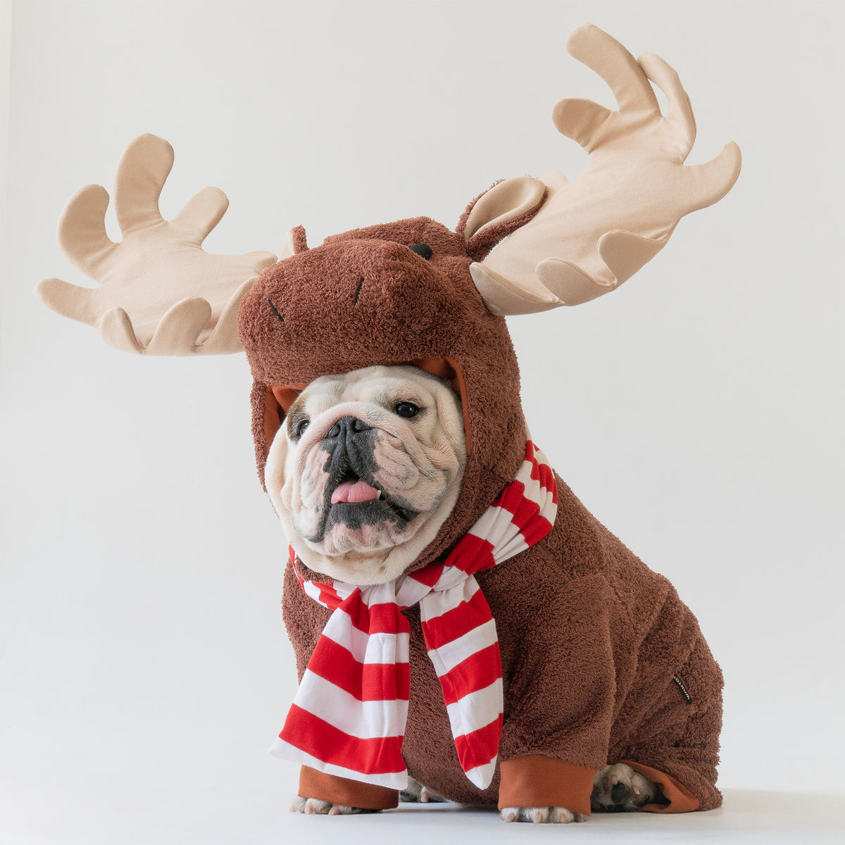 WONTON The Winter Moose costume Wonton Collection