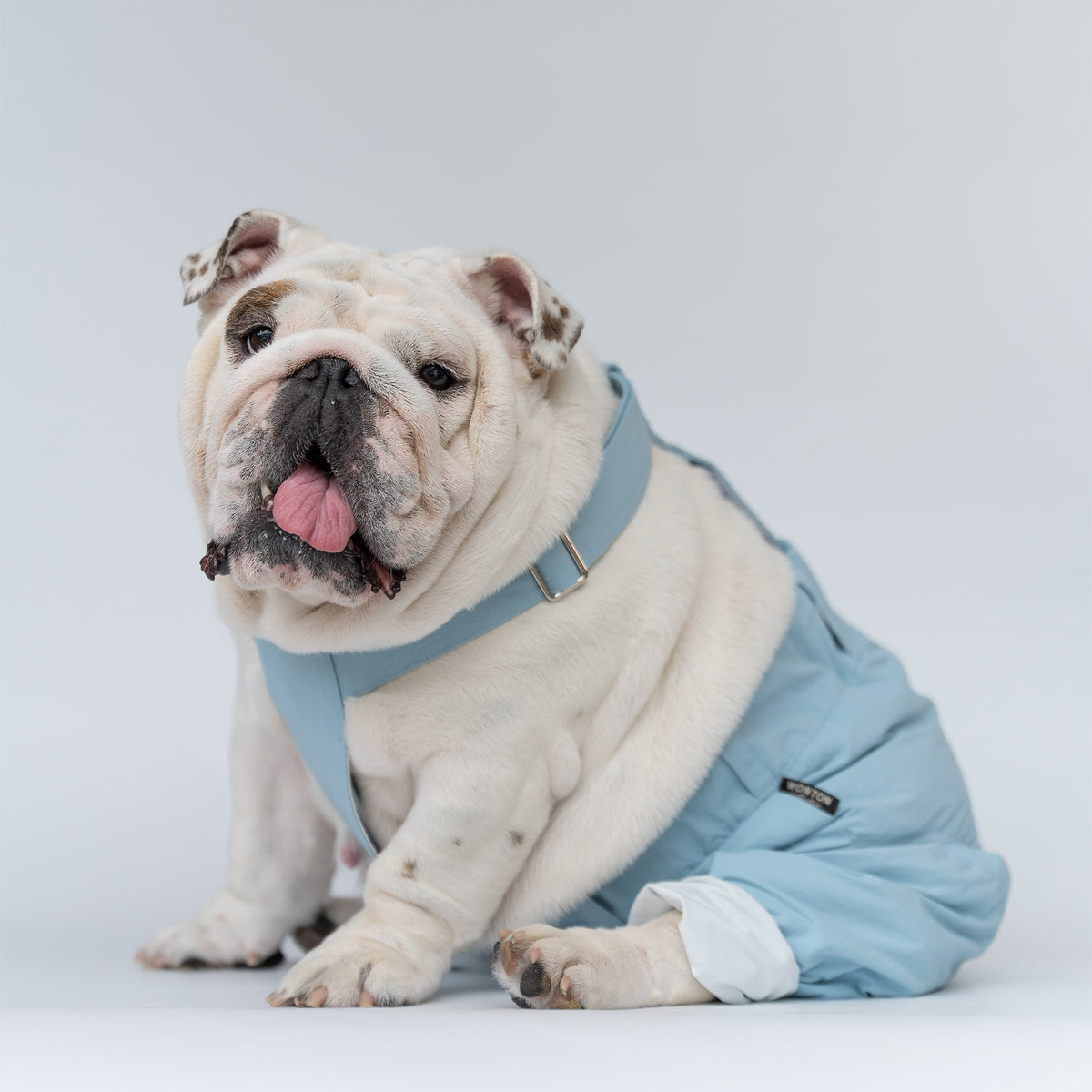WONTON ONE PANTS 2 in ice-blue