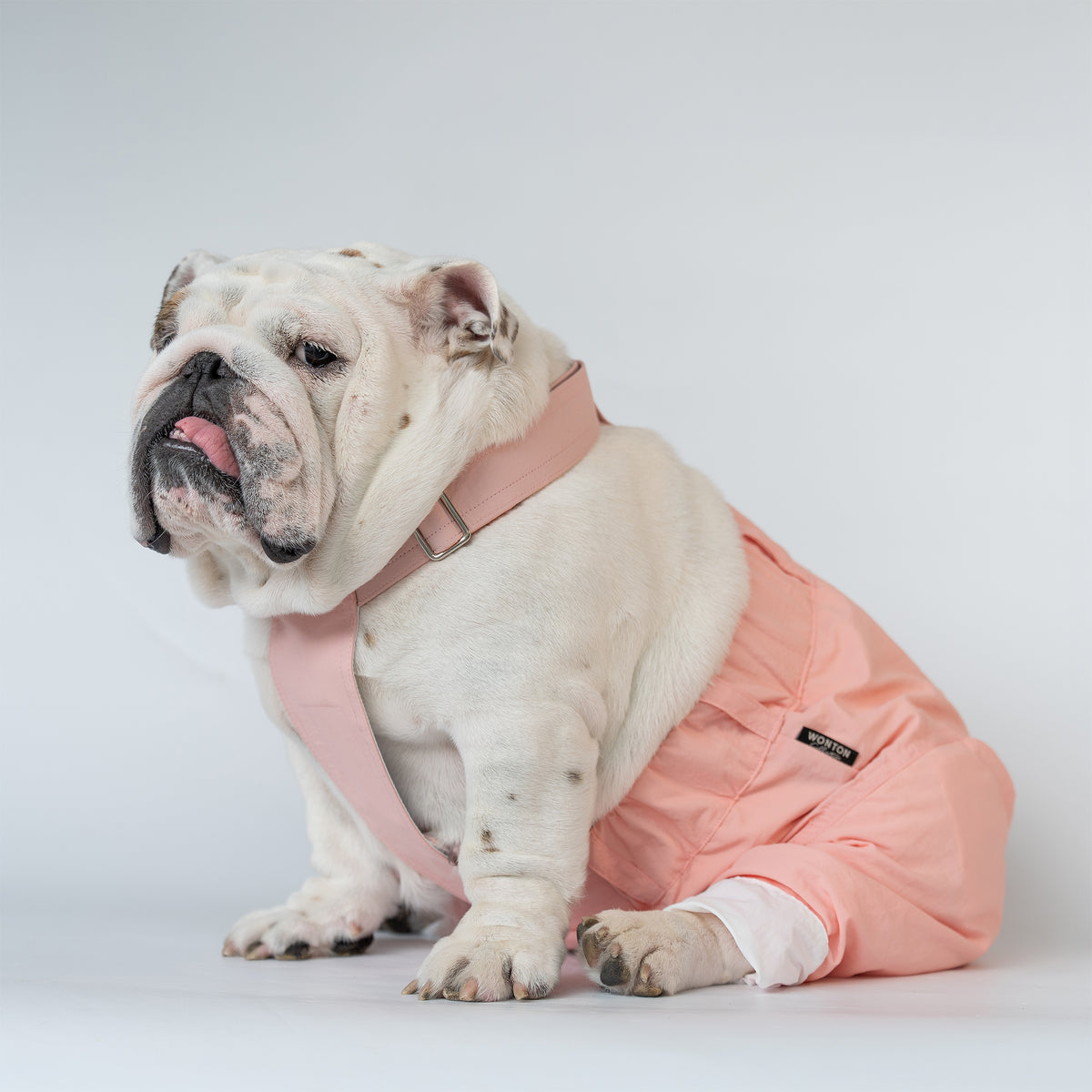 WONTON ONE PANTS 2 in ice-cream pink