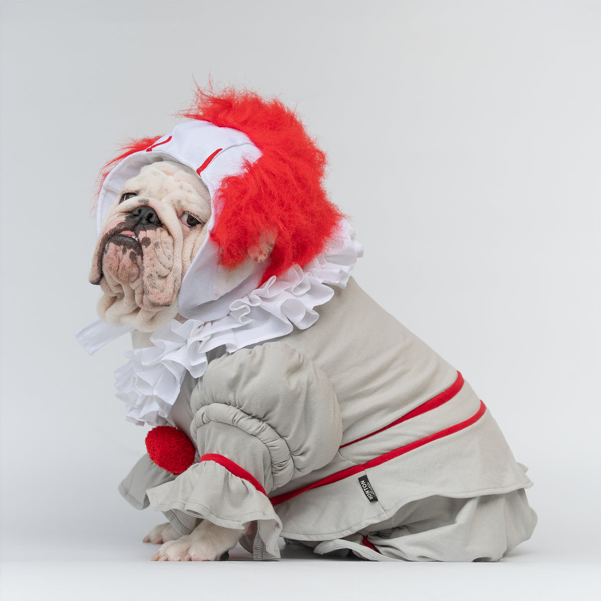 WONTON PennyWide costume - LIMITED EDITION