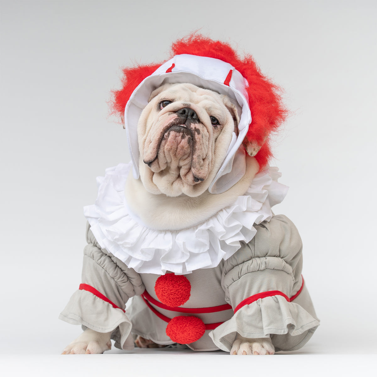 WONTON PennyWide costume - LIMITED EDITION