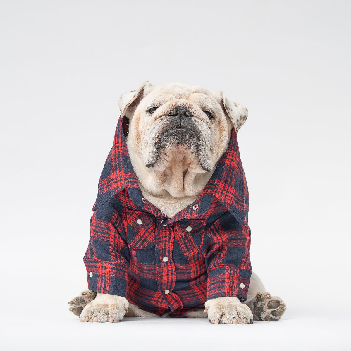 WONTON Redwood Plaid shirt