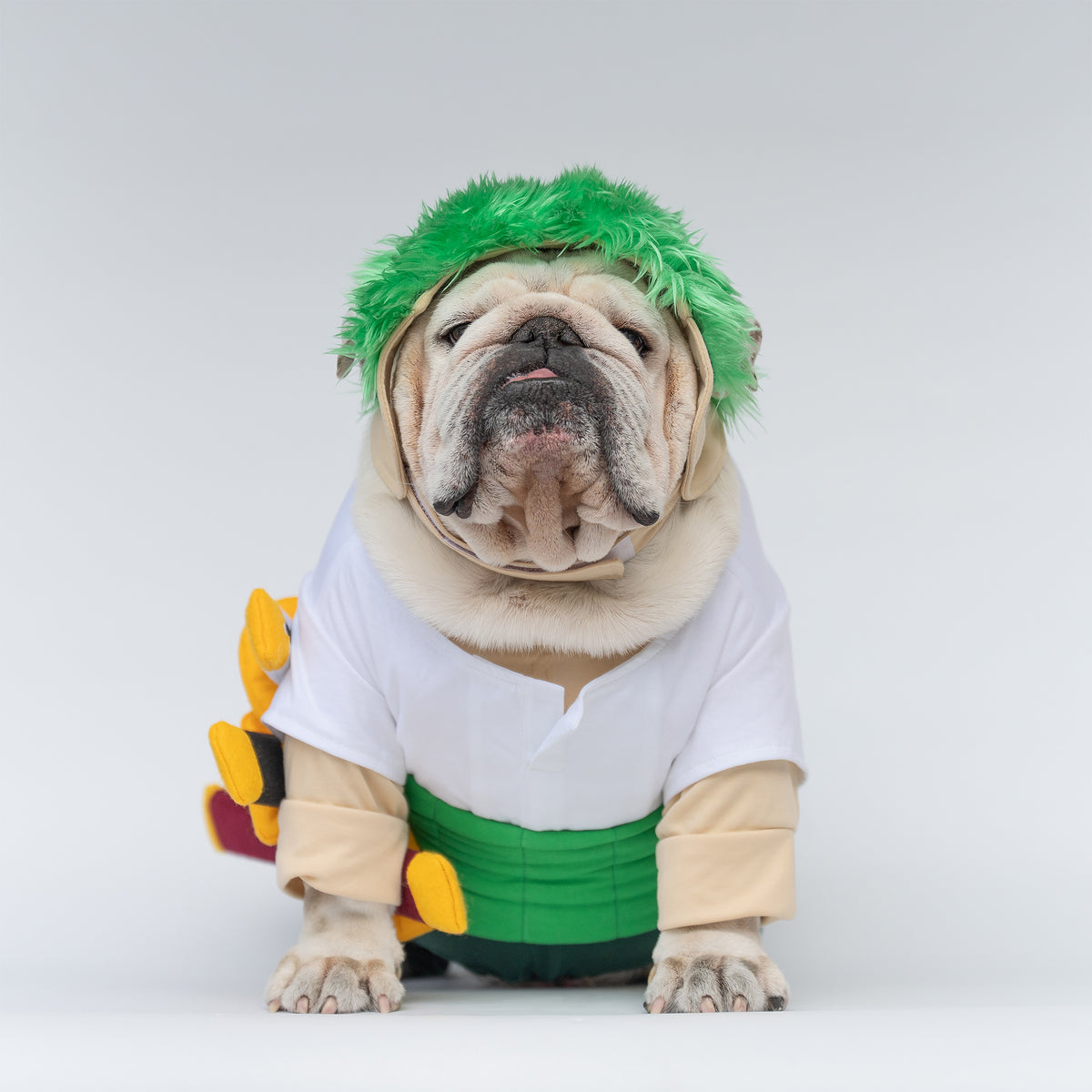 WONTON Ramenoa Paw-ro costume