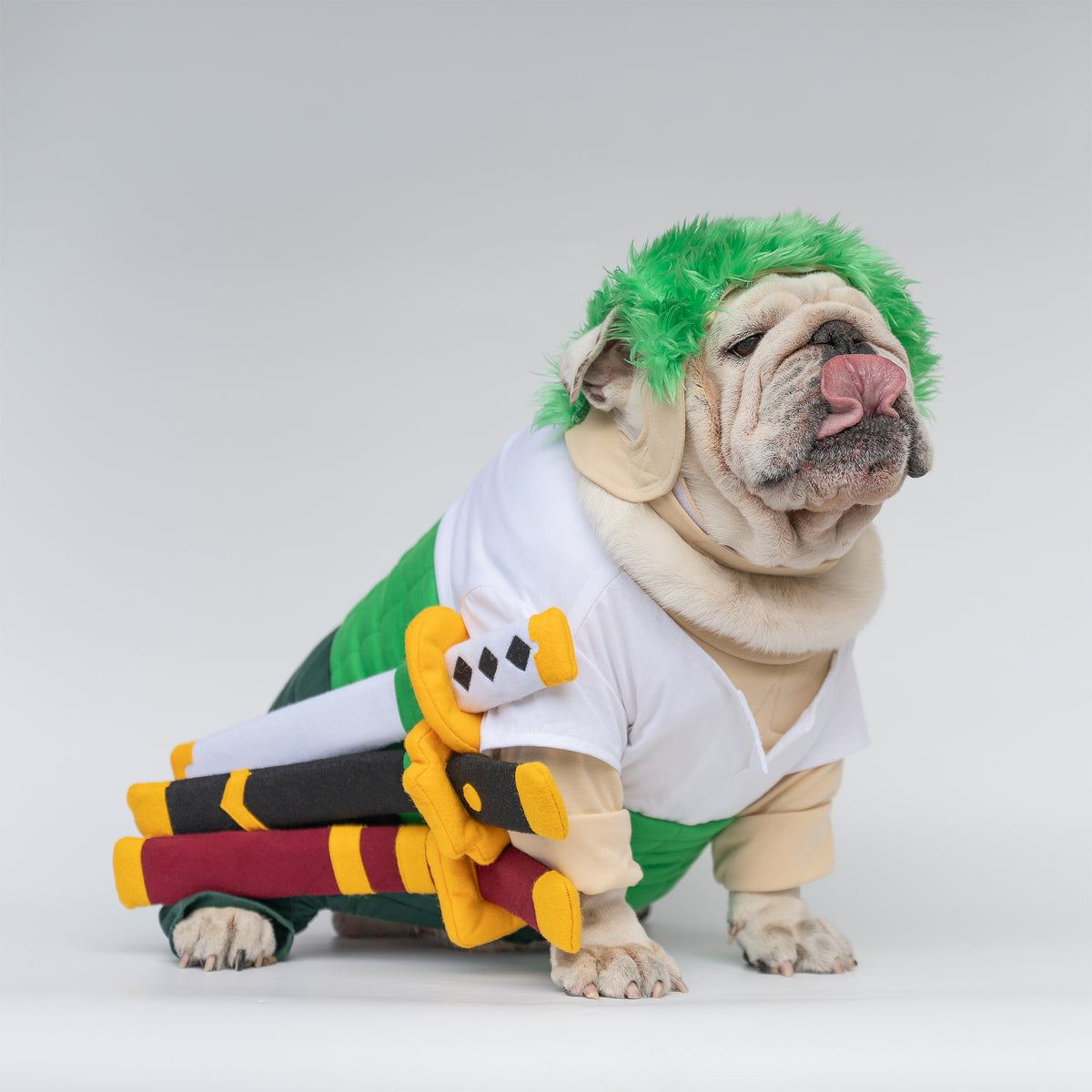 WONTON Ramenoa Paw-ro costume