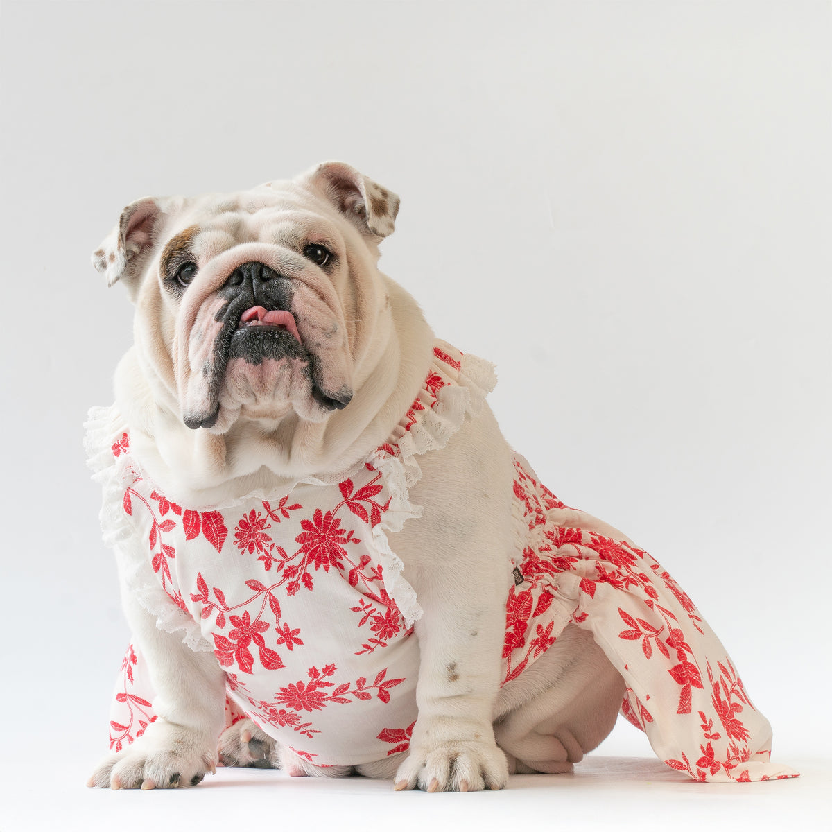 WONTON Scarlet Bloom dress
