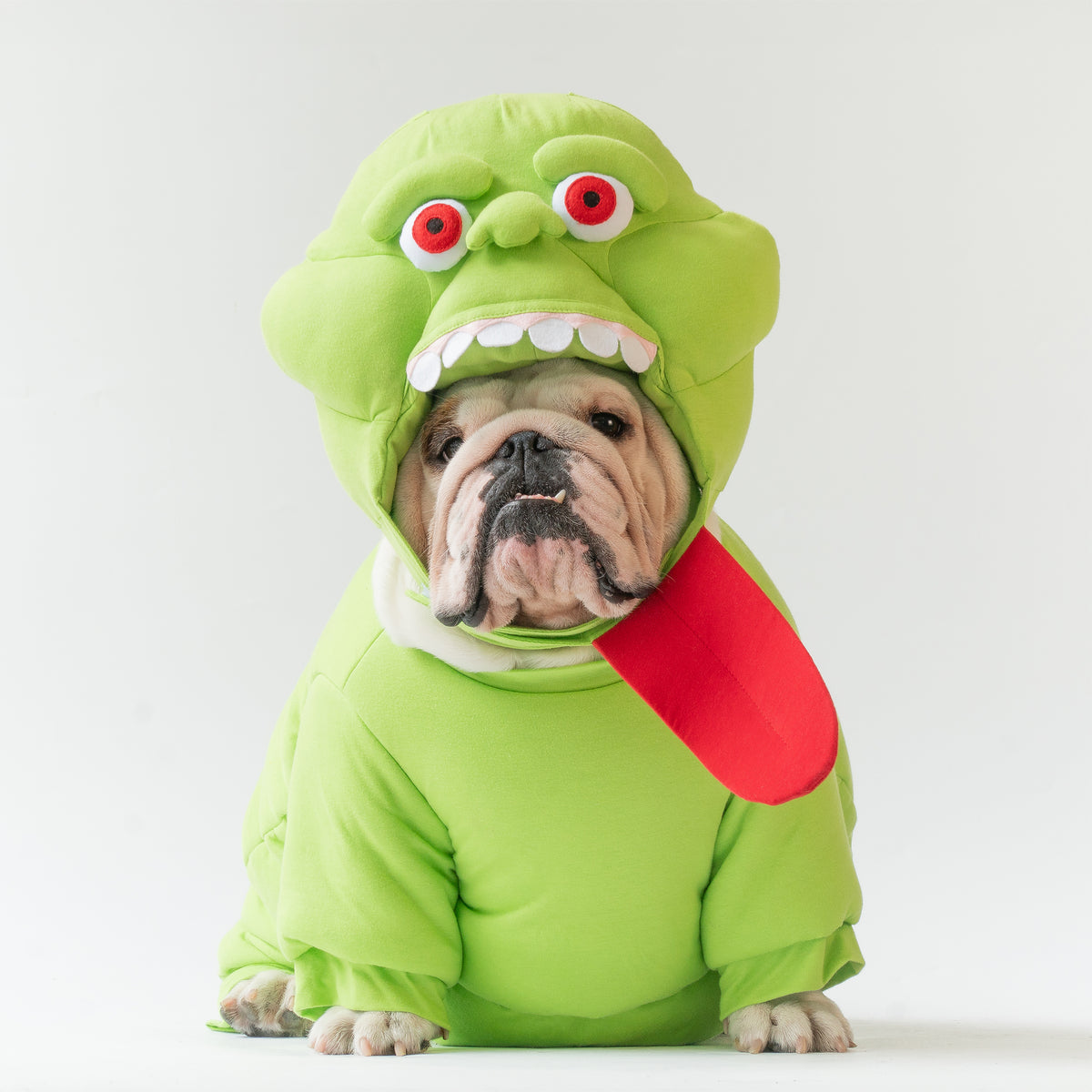 犬服　slime　ハンドメイド WONTON Slimer costume – Wonton Collection