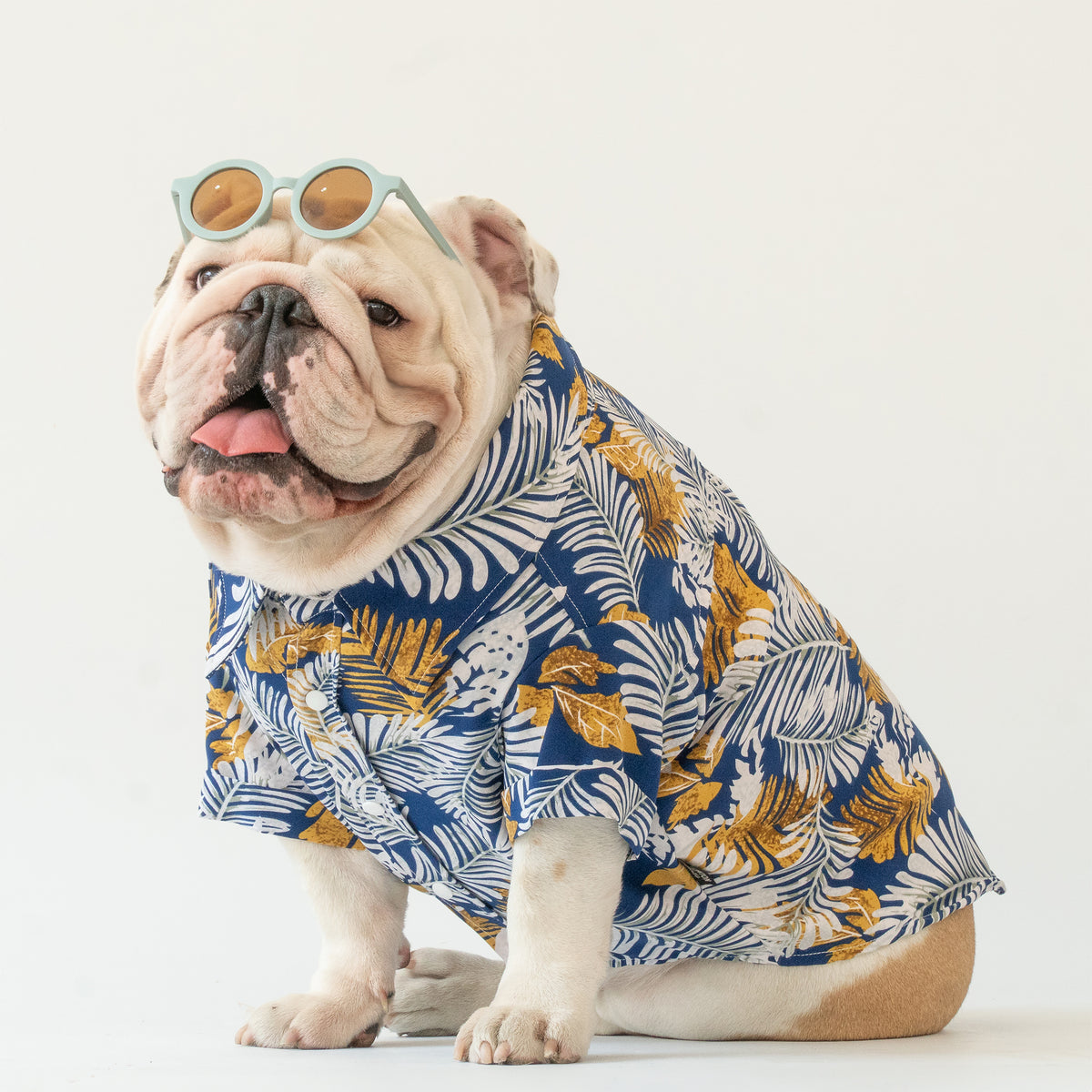 WONTON Spring Fever shirt