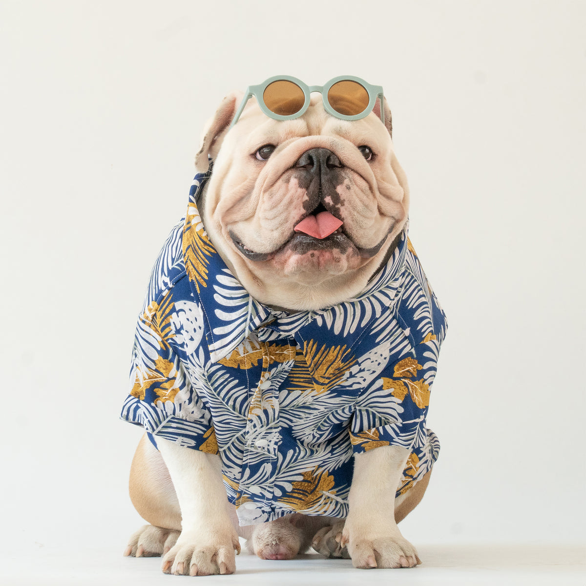 WONTON Spring Fever shirt