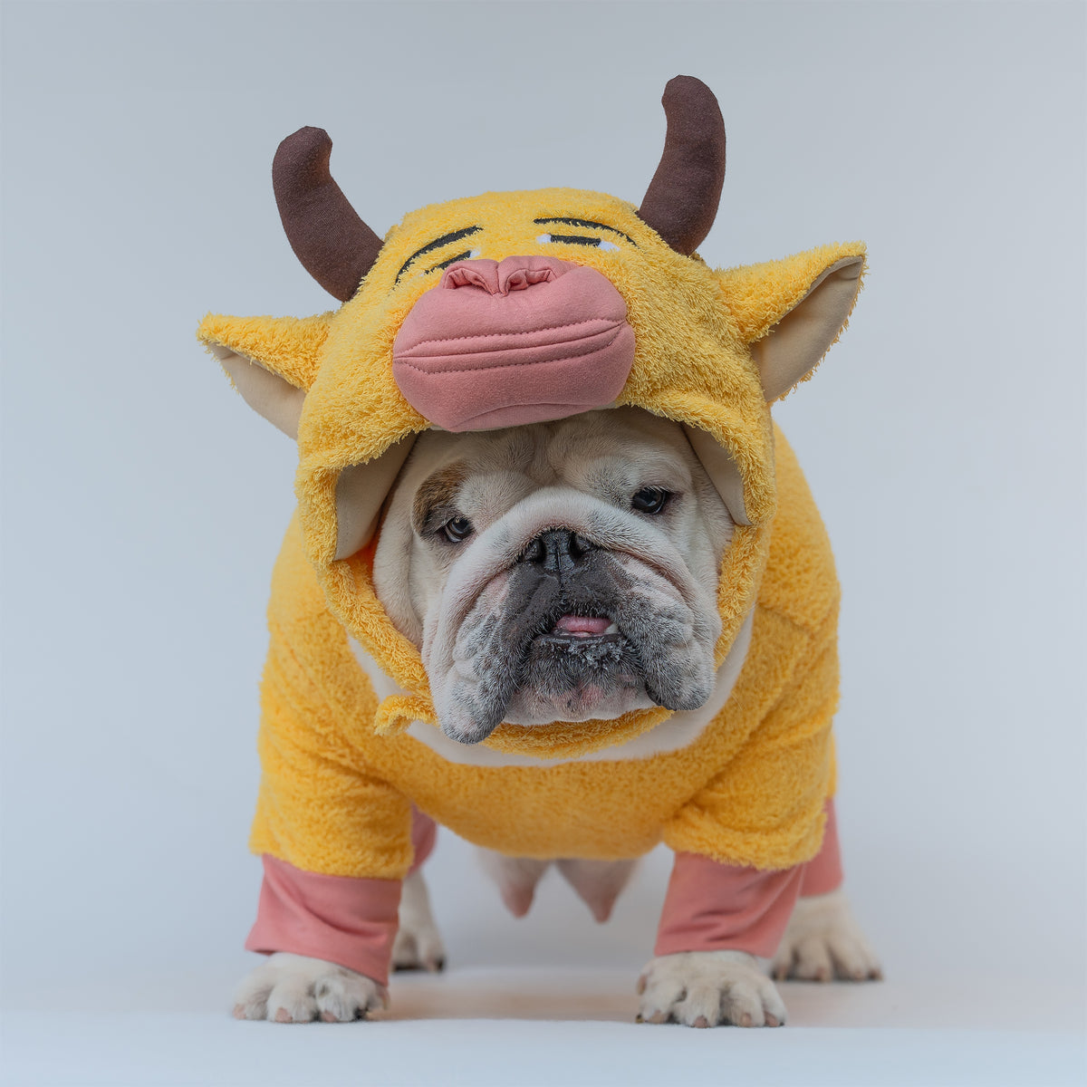 WONTON The Yellow Cow costume