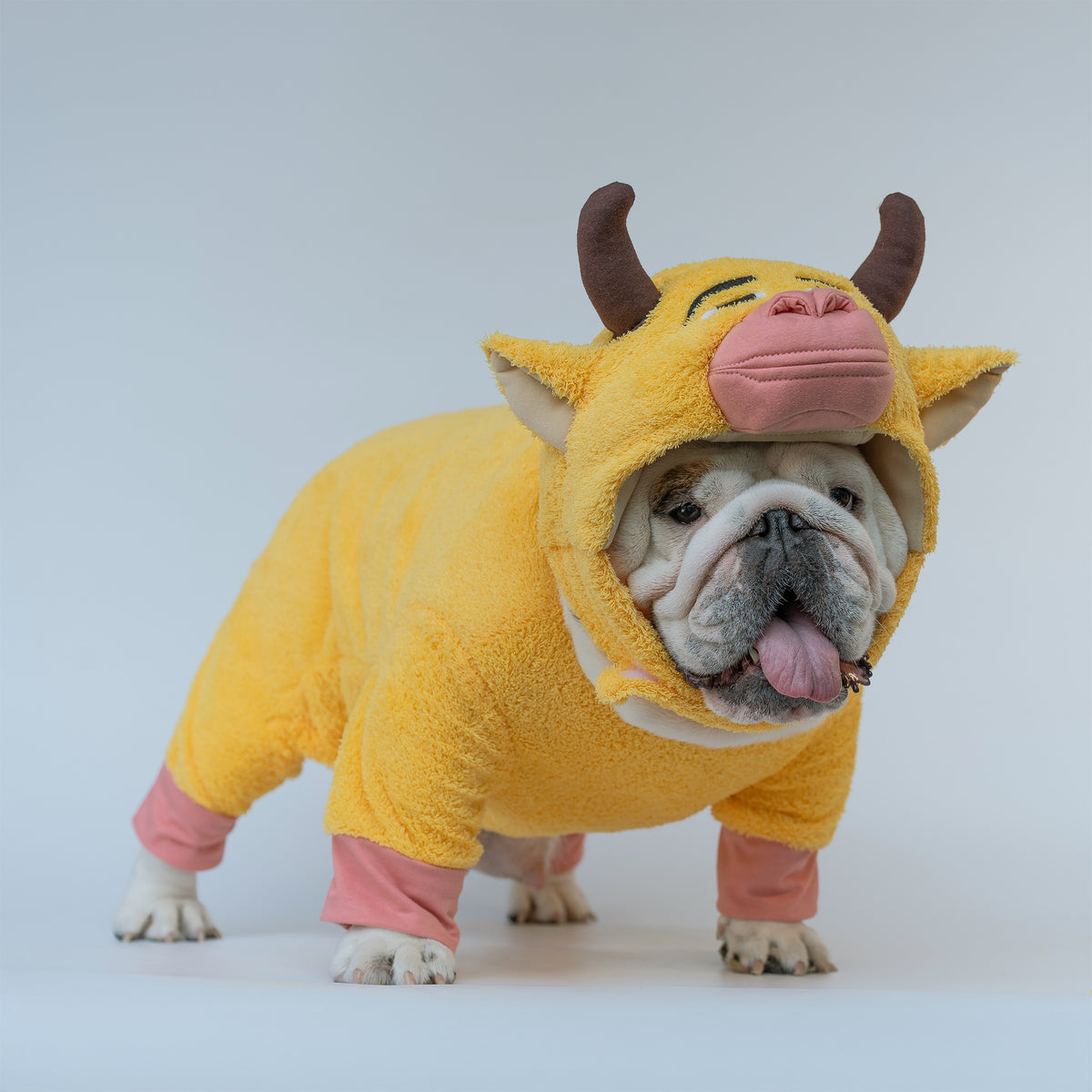 WONTON The Yellow Cow costume
