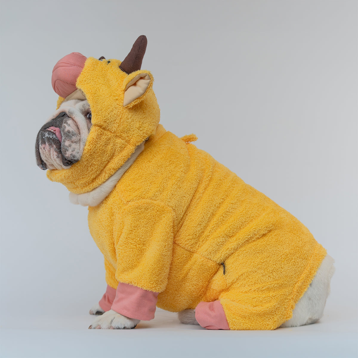 WONTON The Yellow Cow costume