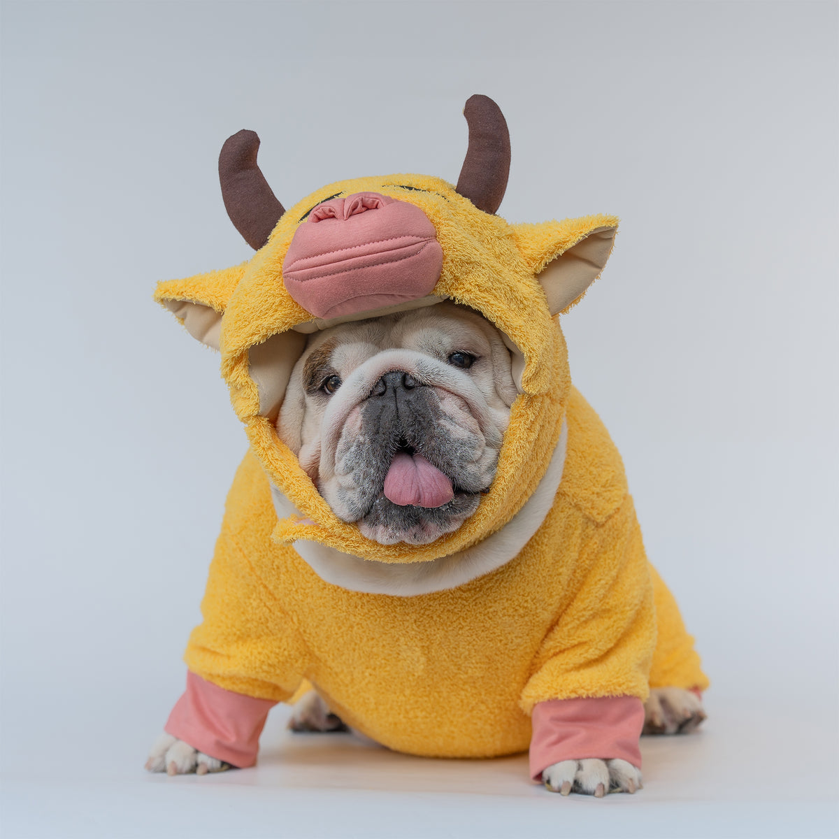 WONTON The Yellow Cow costume